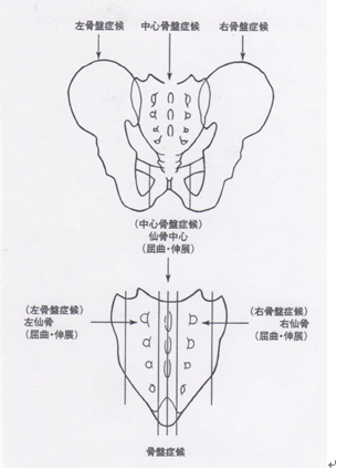 第3章 人体の気の循環理論・骨盤症候