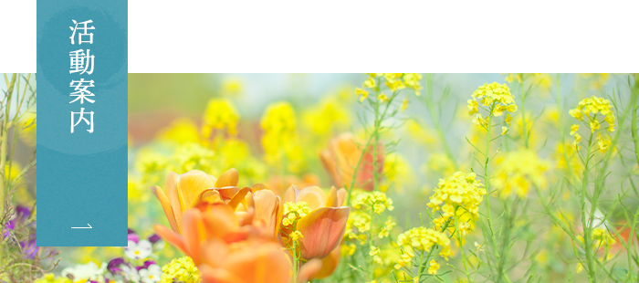 活動案内